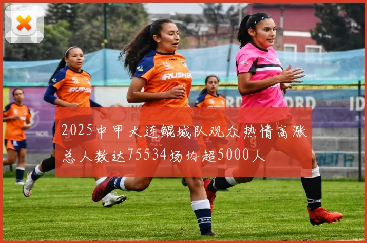 2025中甲大连鲲城队观众热情高涨总人数达75534场均超5000人