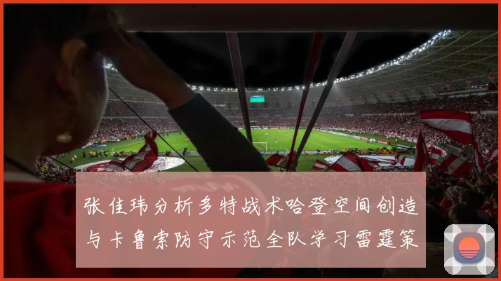 张佳玮分析多特战术哈登空间创造与卡鲁索防守示范全队学习雷霆策略