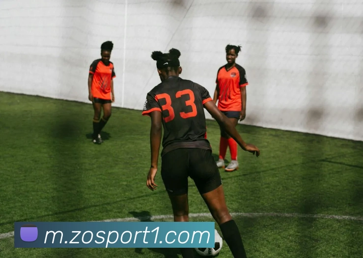 中欧足球官网平台生态图